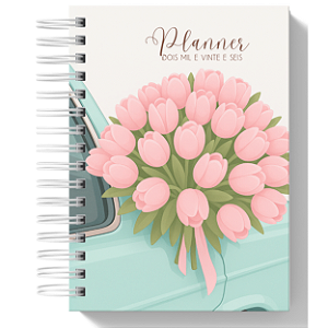 Planner Anual - Buque Carro