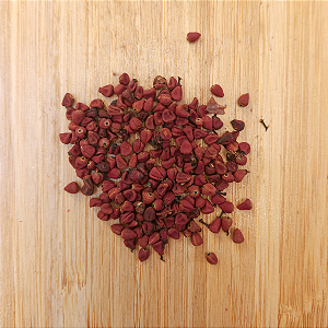 Semente de Urucum