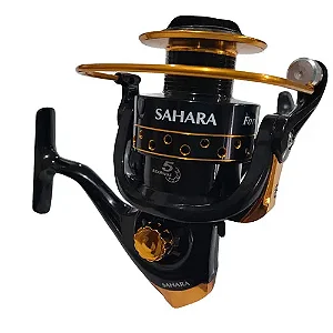 MOLINETE SAHARA FORCE