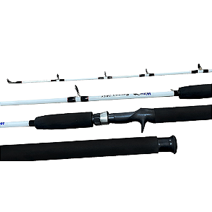 VARA PARA CARRETILHA WAY FISHING RAVENA 5'5" (1,65M) 20-40LBS 1651 - INTEIRIÇA