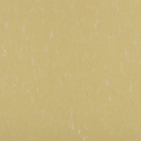 Piso Paviflex - Tarkett - Thru - 25759701 - 2mm - 30,5x30,5cm - 6,51 m2