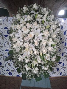 Coroa Media bsb 01