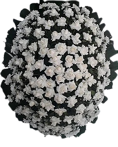 Coroa Presidencial 01