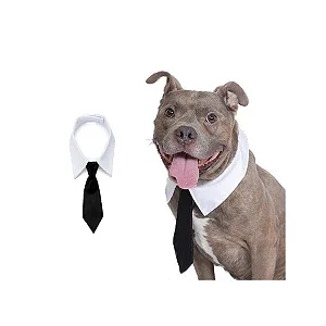 Colarinho com Gravata Social Black Tie Pet