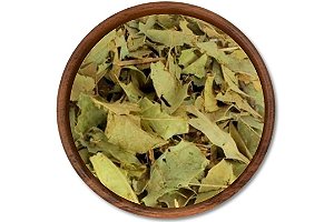 Espinheira santa