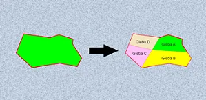 Divisão de áreas rurais (Desmembramento)
