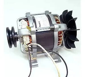MOTOR AS Z D SUP MON 1/2CV220V60HZ 1550
