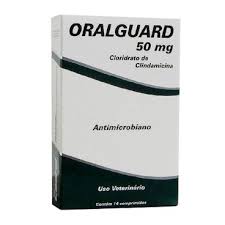 Oralguard 50mg (14 Comprimidos)
