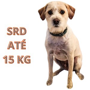Banho SRD de 5 Até 15 Kg