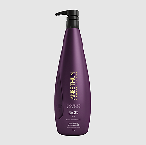 Aneethun Shampoo No Frizz System 1L
