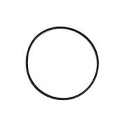 ANEL DE VEDACAO	3926048