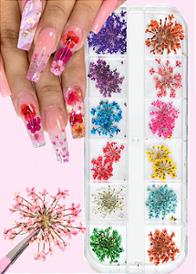 Flor seca colorida P