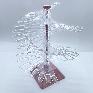 Expositor espiral 60un