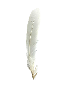 Pena de Lekeleke (Pena Branca)