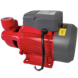 Bomba Centrífuga Periférica Bb1000p 1HP 220v Branco