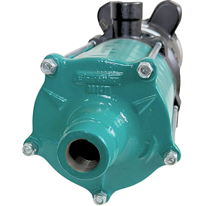 Motobomba Centrifuga Multiestagio 3cv 127/220v Eletroplas