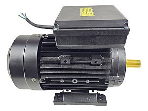 Motor Elétrico 3 cv 127v/220v Lynus 2 Polos 3600 RPM