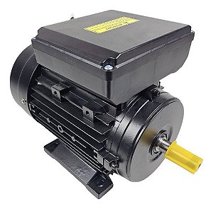 Motor Elétrico 2 cv 127v/220v Lynus 4 Polos 1800 RPM