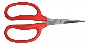 Tesoura p/ Colheita Uva Raleio Poda Inox 15cm