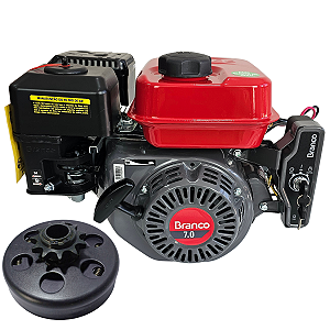 Motor Estacionário 7hp Elétrico Branco C/ Embreagem Dentada