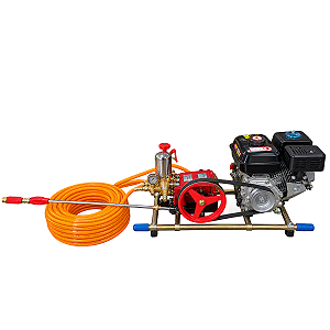 Lavadora Pulverizadora Eletroplas 40 Motor Lynus e Mangueira