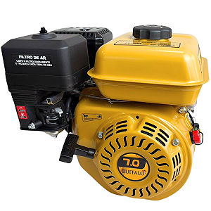Motor A Gasolina 4t 7hp Partida Manual Buffalo 60709