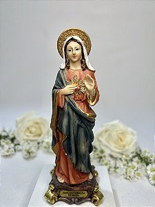 Sagrado Coração de Maria II - 15 cm