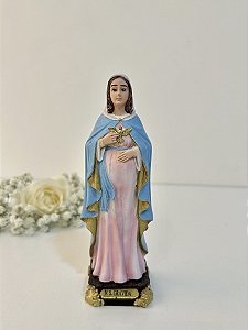 Nossa Senhora Grávida - Resina Nacional