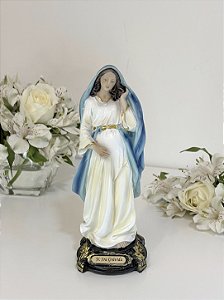 Nossa Senhora Grávida II - 20 cm