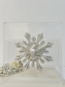 Placa Acrílica Divino Espírito Santo Decorativa