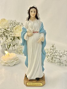 Nossa Senhora Grávida - resina colorida 20 cm