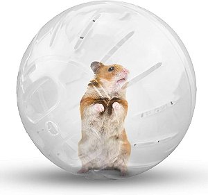 Hamster Ball