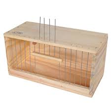 Transporte para Passaros