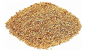 Pássaro Forte Painço 500g