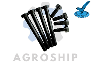 Kit Parafuso BW 40 Referência:(ZF 40)