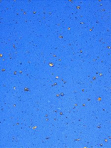 Pacote 5 Folhas EVA Cortiça 40x50cm Azul Brasil