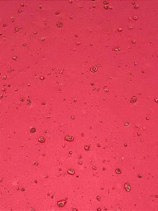 Folha EVA Cortiça 40x60cm Vermelho Natal