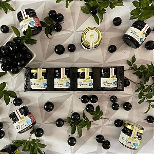 KIT COM 4 MINI GELEIAS DE JABUTICABA ZERO AÇÚCAR 50G CADA Sabarabuçu