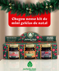 Kit Natal Trio de Mini Geleias Puro e Leve 90g