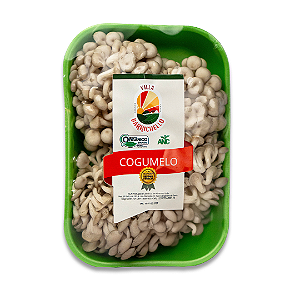 Cogumelo Shimeji Branco Orgânico - 200g