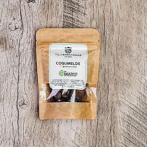 Funghi Secchi Desidratado - 50g