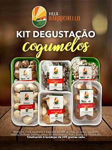 Kit Degustação de 6 Cogumelos com Eryngui