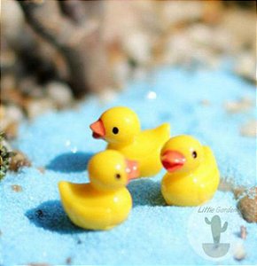 Kit 10 mini patos Decoração Maquetes, Mini Mundos, Terrário