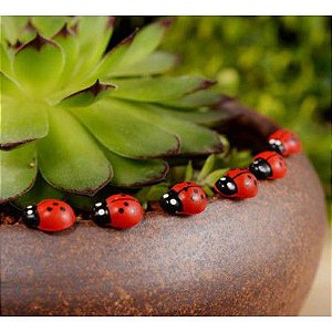 20 Mini Joaninhas para terrários ou mini jardins de suculentas e cactos