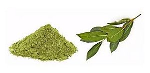 Folha de Louro em Pó