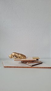 as pedras são meu trampolim  | obra única | telha, teto, afeto