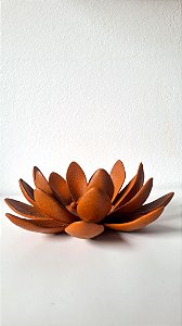 lótus renascer | fractais
