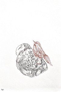 re-pouso | A4 | ilustração original