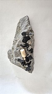 entre pedras, sou semente | brotei do concreto | obra única