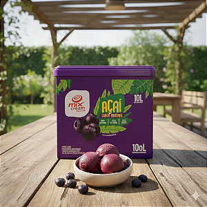 CAIXA AÇAÍ 10L